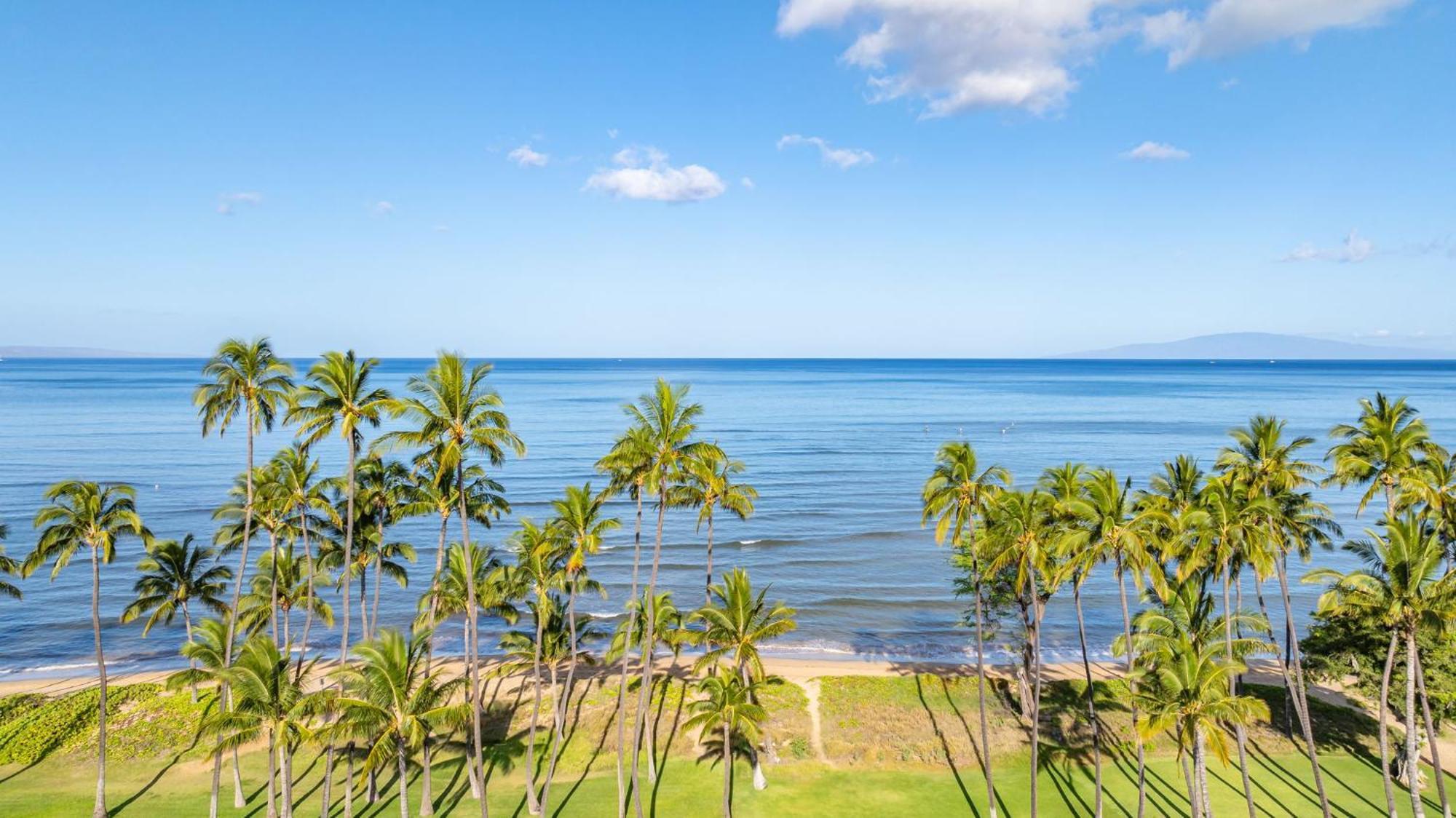 Apartamento Hale Kai O'Kihei 317 Exterior foto